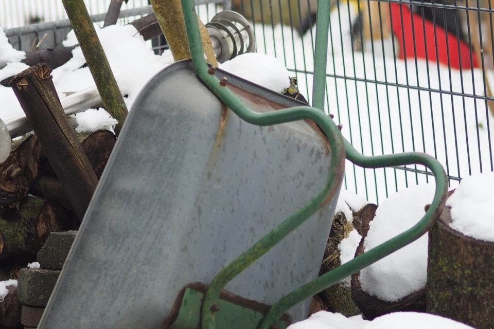 Uppochnedvänd skottkärra och snötäckta stubbar i en vinterträdgård