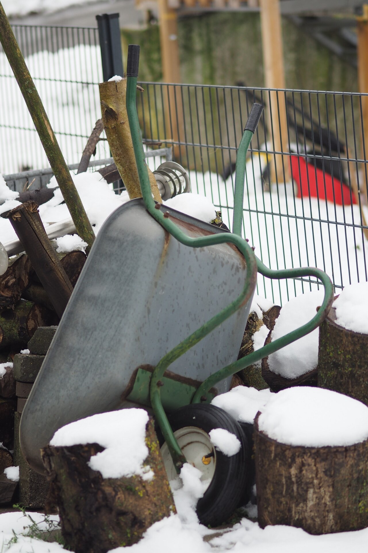 Uppochnedvänd skottkärra och snötäckta stubbar i en vinterträdgård